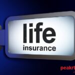 Major Types Of Insurance Policies Overviews And Characteristics